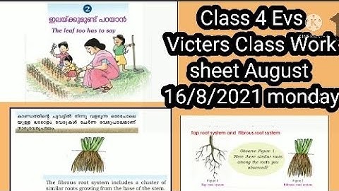 Class 4 Evs Victers Class Work Sheet 16/8/2021
