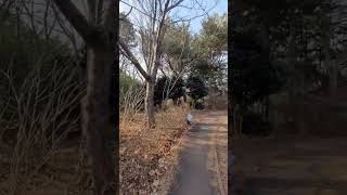 홍곡산 영상