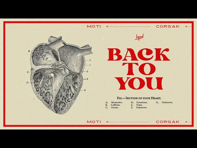MOTi  - Back To You