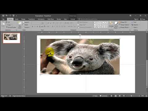 cara Mengunci rasio gambar powerpoint