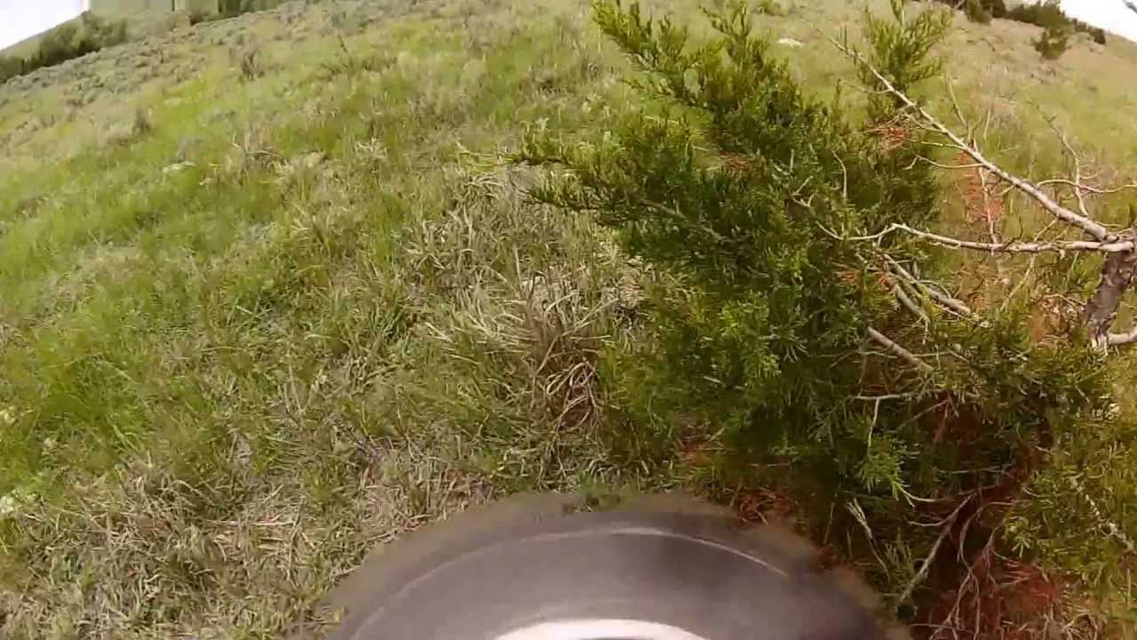 SAW CAM cutting a couple trees. John Deere 333D w/ a Turbo Saw.