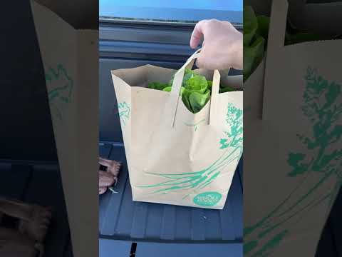 The Cybertruck frunk