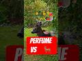 This Old Perfume Trick Stops Deer! 🌷