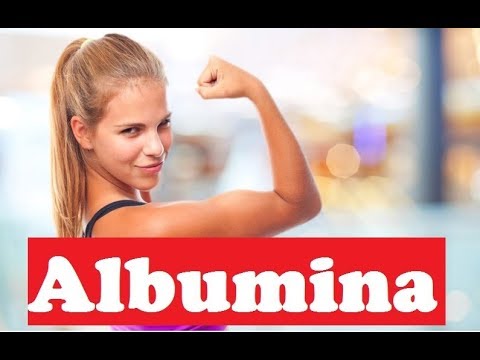 Albumina