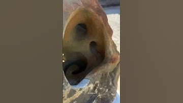 Infinite Loop! #shorts