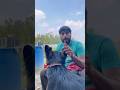 हर डॉग की ये समस्या रहती हैं #doggielife #petlove #ytshorts #rambo #doglove