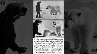 Man Befriends Wild Polar Bears In Arctic True Story