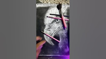 😱wtf did I just do? Instagram art reels idea! #shorts idea for artist #art @punjab_art_gallery