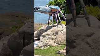 O Caranguejo Fazendo Xixi? Não Acredito