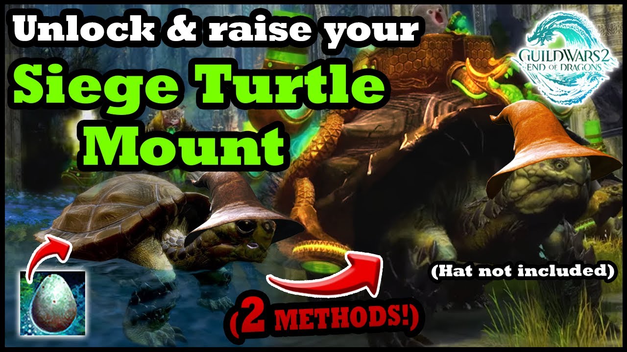 How to Get the Siege Turtle Mount 2 Methods Guild Wars 2 Guide YouTube