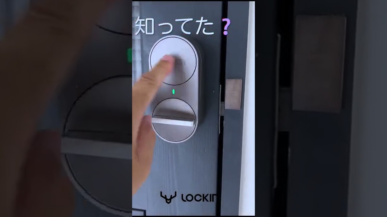 美術品・アンティーク・コレクション 清水日呂志 駕洛窯 萩焼 茶碗