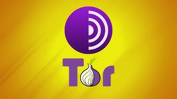What Is Tor Browser? The Onion Router Explained
