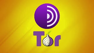What Is Tor Browser? The Onion Router Explained