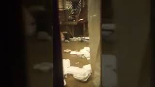 MDOC Parchman prisoner records after outage showing a rat
