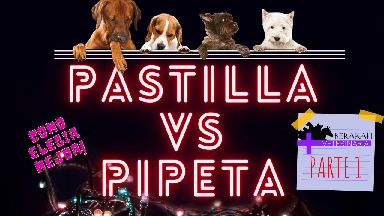 Pipeta vs Pastilla para pulgas 😱🐶🐱🔥