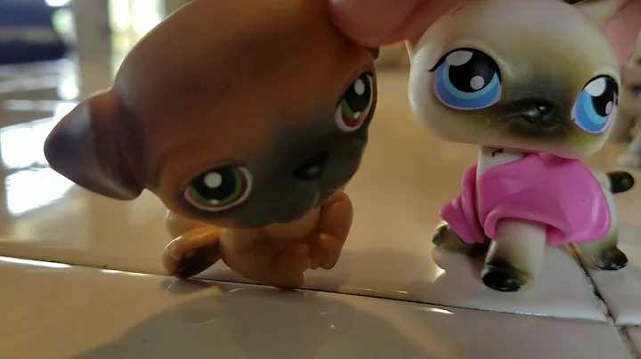 Lps and everything