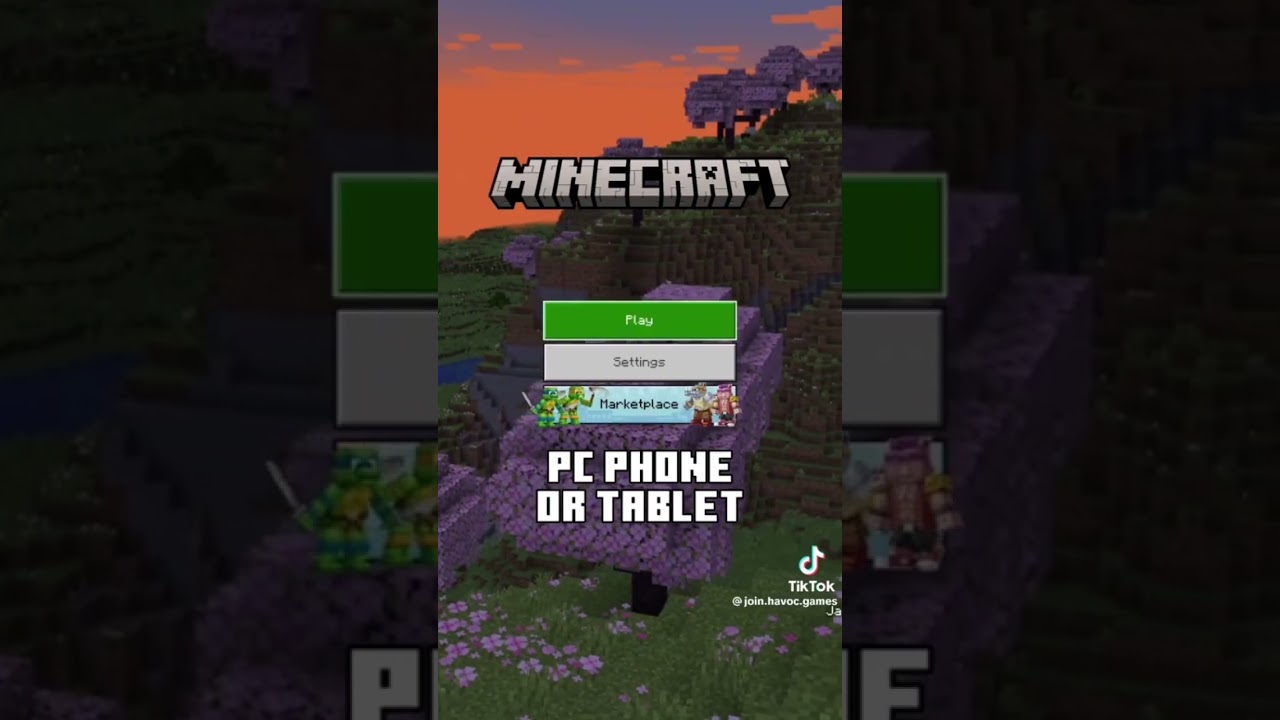 The walking dead in Minecraft as an sever!