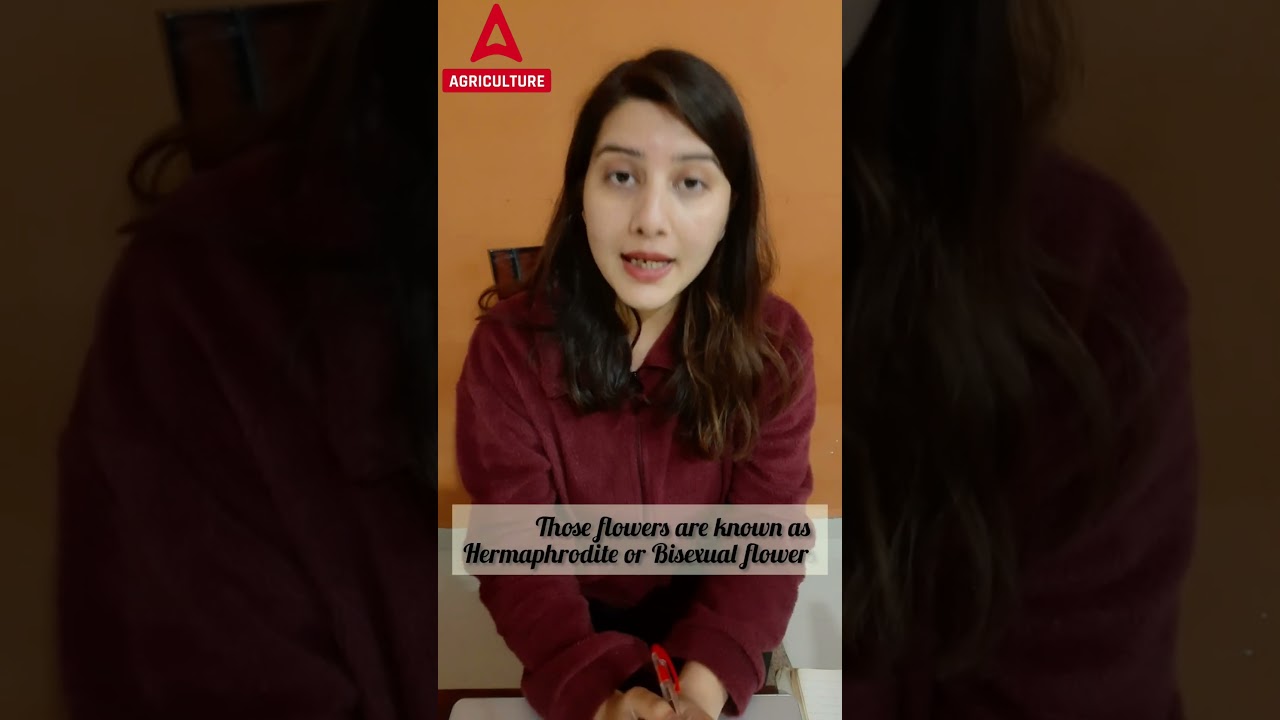 Bisexuality in flowers- Explained by Pratibha ma'am 