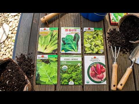 FALL GARDEN - EASY WAY TO PLANT AND GROW THESE 9 SEEDS