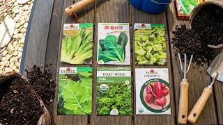 FALL GARDEN -  EASY WAY TO PLANT AND GROW THESE 9 SEEDS
