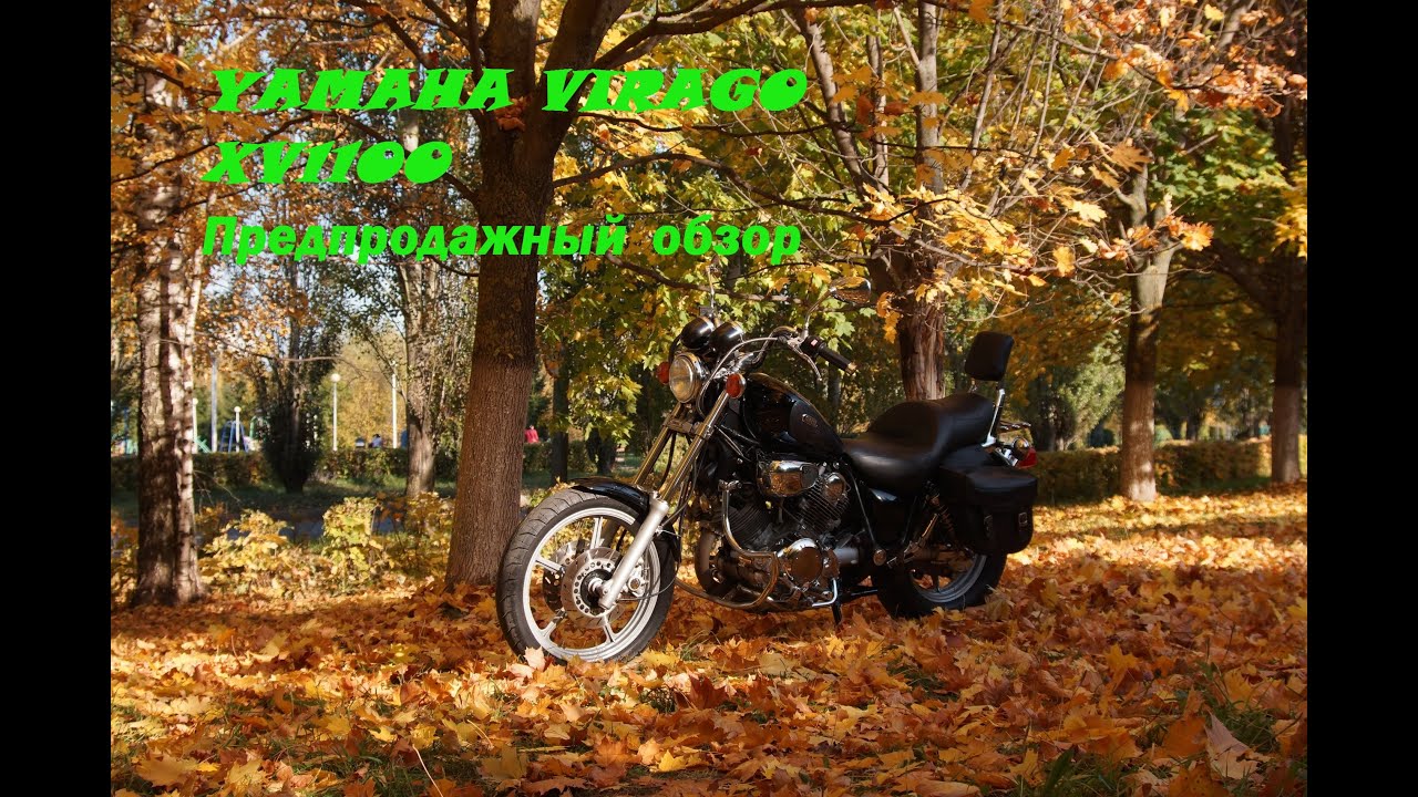 Хонда вираго 1100