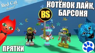 ПРЯТКИ С КОТЁНКОМ ЛАЙКОМ И БАРСОНЕЙ В СИМУЛЯТОРЕ ПЧЕЛОВОДА РОБЛОКС | Bee Swarm Simulator roblox