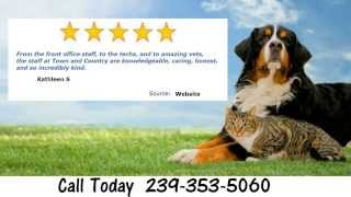 Animal Hospital Reviews - Naples FL (239) 353-5060