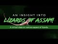 The lizards of assam podcast with drjayaditya purkayastha