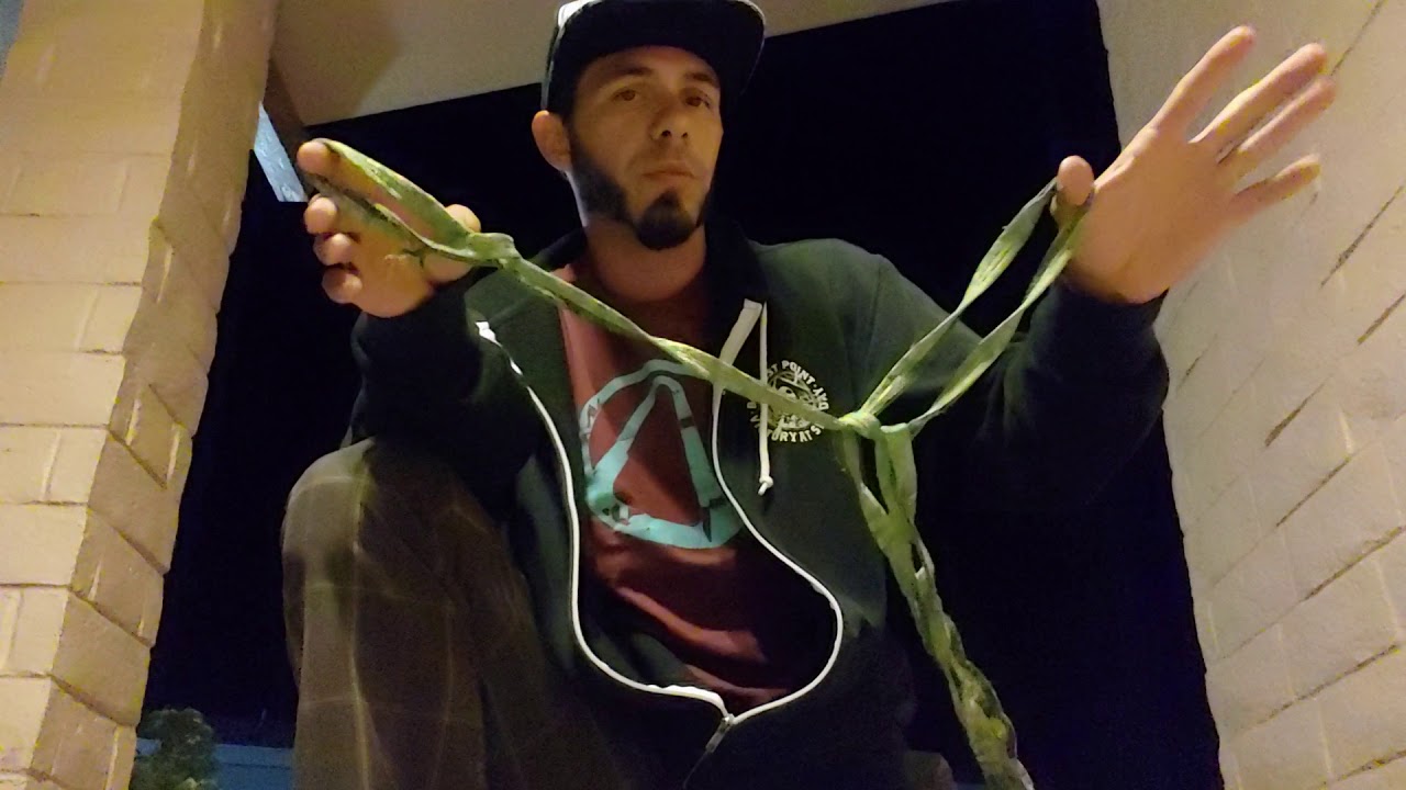 Daisy Chain Rope Tutorial Rope Dart Daisy Chain Tutorial - YouTube