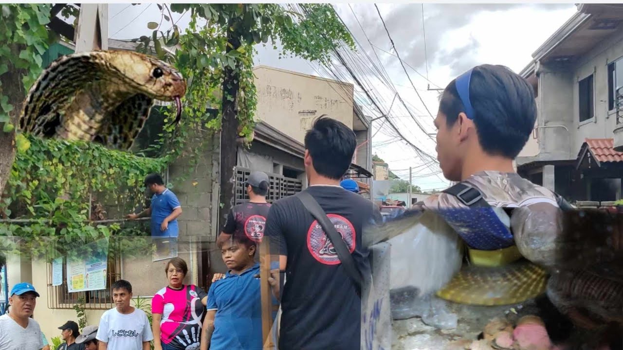 BUONG COBRA TEAM PINAHIRAPAN SA COBRANG PUMAPATAY SA LUMANG BAHAY #cobraprince #cobraking #cobrateam