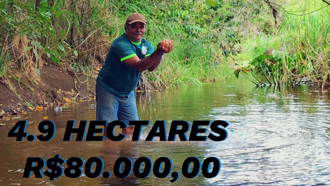 SÍTIO DE 4.9 HECTARES À VENDA EM JOÃO ALFREDO-PE | Riacho Perene, 2 Casas | R$ 80.000!