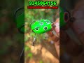 Lark handmade Frogs With Free Shipping - Hindi