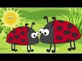 Ladybird Ladybird Fly Away Home Nursery Rhyme For Babies And Toddlers From Sing And Learn 