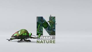 Forpustet død Vi ses Viasat Nature ident/logo 1080p 2021 - YouTube