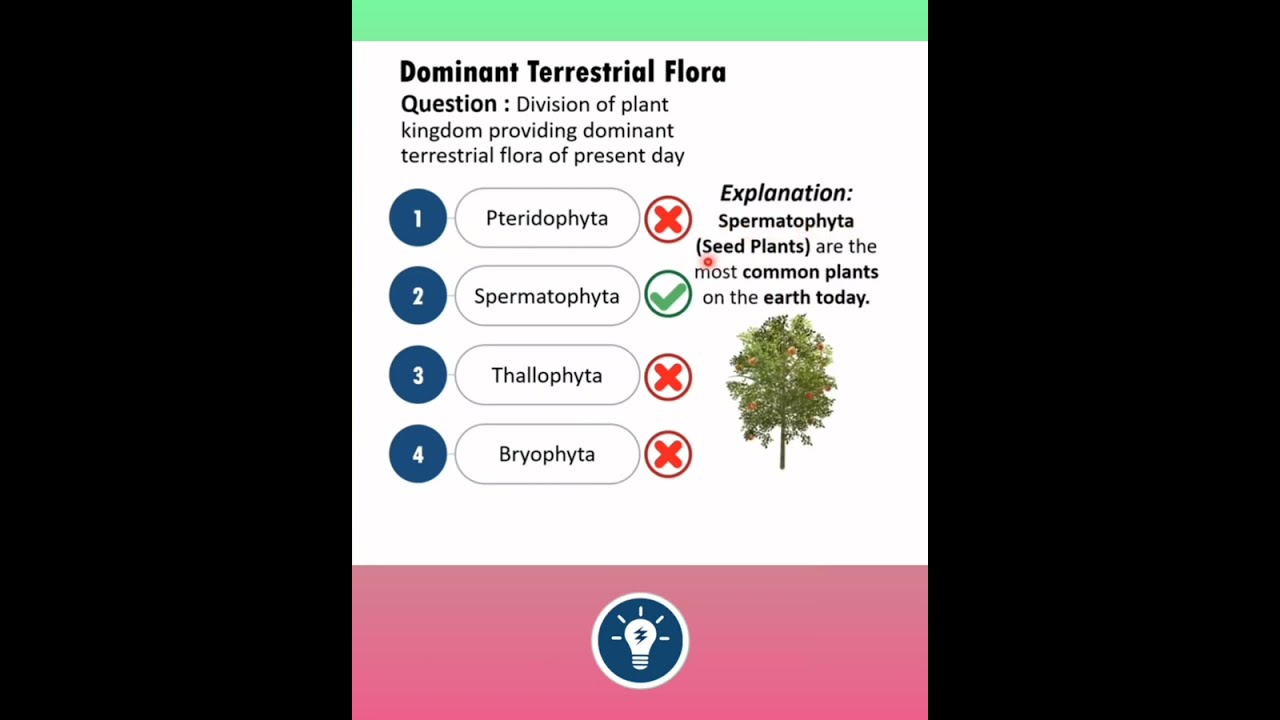 Plant Kingdom - Dominant Terrestrial Flora of Present Day? | KVS PGT BIOLOGY