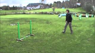 foundations lesson 1: tunnels and jumps on verbal cue