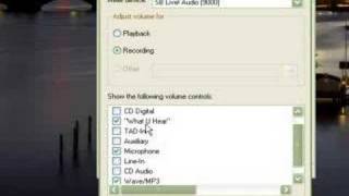Paltalk And Beyluxe Messenger Music And Mic In Xp