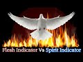 Flesh Indicator Vs Spirit Indicator