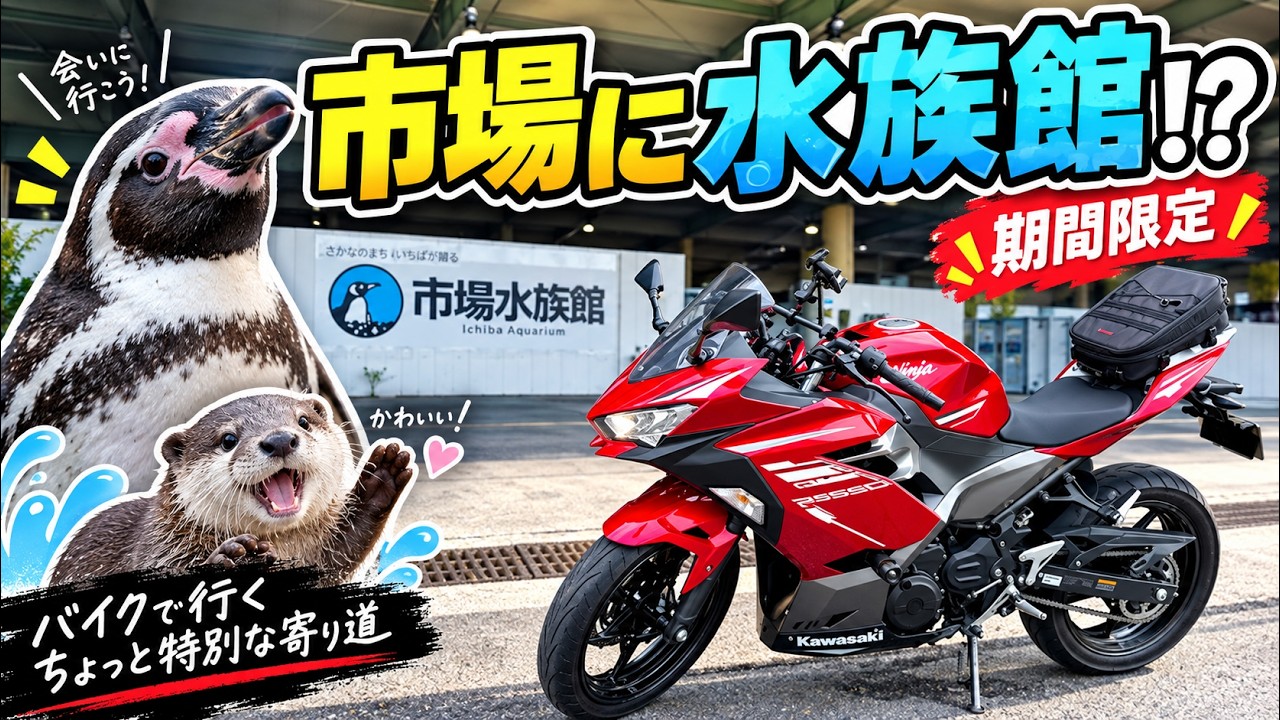 Ninja250] Visiting the Limited-Time 