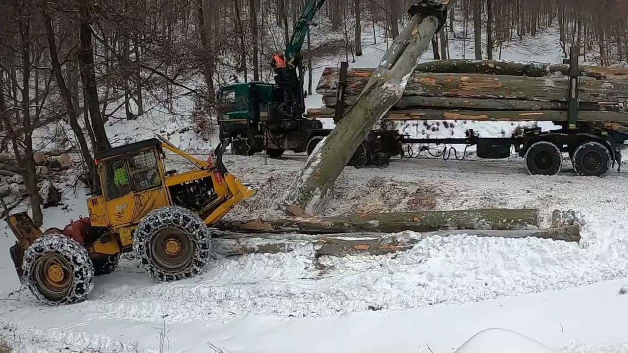 LKT 81 turbo a staršie zábery z lesa ktoré sme  s ňou zažili ✌️😃