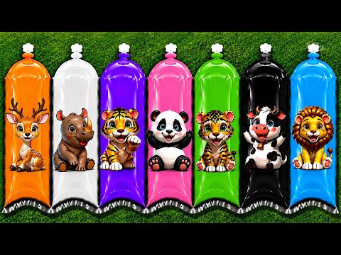 UNBOXING: Elephant, Giraffe, Lion, Tiger, Leopard, Kangaroo, Hippo, Rhino, Zebra, Panda, Pig.