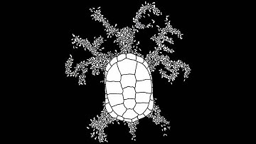 Slices | Slices EP [full]