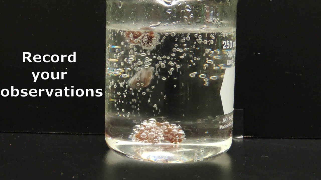 The Dancing Raisins Experiment Raisins + Pop YouTube