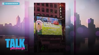 Why are pets in NYC being persuaded to move to Pittsburgh?