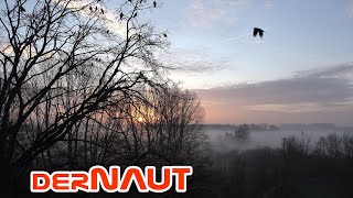 Aufsteigender Morgennebel | Rising Morning Fog | Free to use 4K footage - creative commons