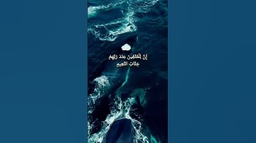 #سورة القلم بصوت اسلام صبحي ♥️#القرآن الكريم #سورة القلم