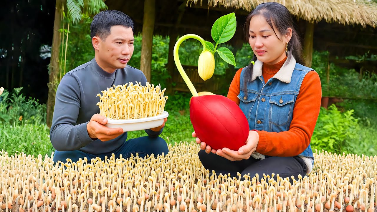 How to Grow Giant Peanut Sprouts in 7 Days and Sell them at the Market with my Husband