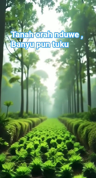 Indahnya Tanaman Pertanian