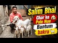 Dhamaka Quality Offer🔥 Ghar Pale Bantum Goat Looto Aur Shouk Karo || Salim Bhai Bhiwandi Mumbai ||