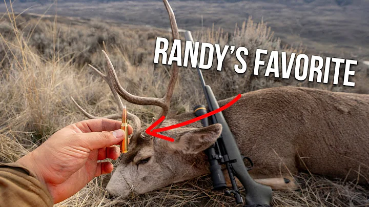 Randy Reacts to YOUR Favorite Deer Hunting Cartridges!